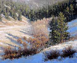 large colorado snow landscape