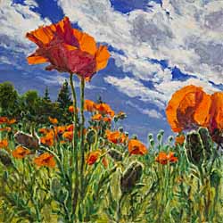 red poppies oil painting